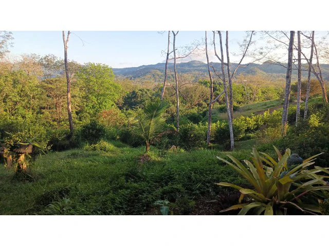 Stunning Dream Home and Pool with Separate cute smart Apartment building for Sale Surrounded by lush nature in the soft rolling hills of Hojancha - Gallery image 12
