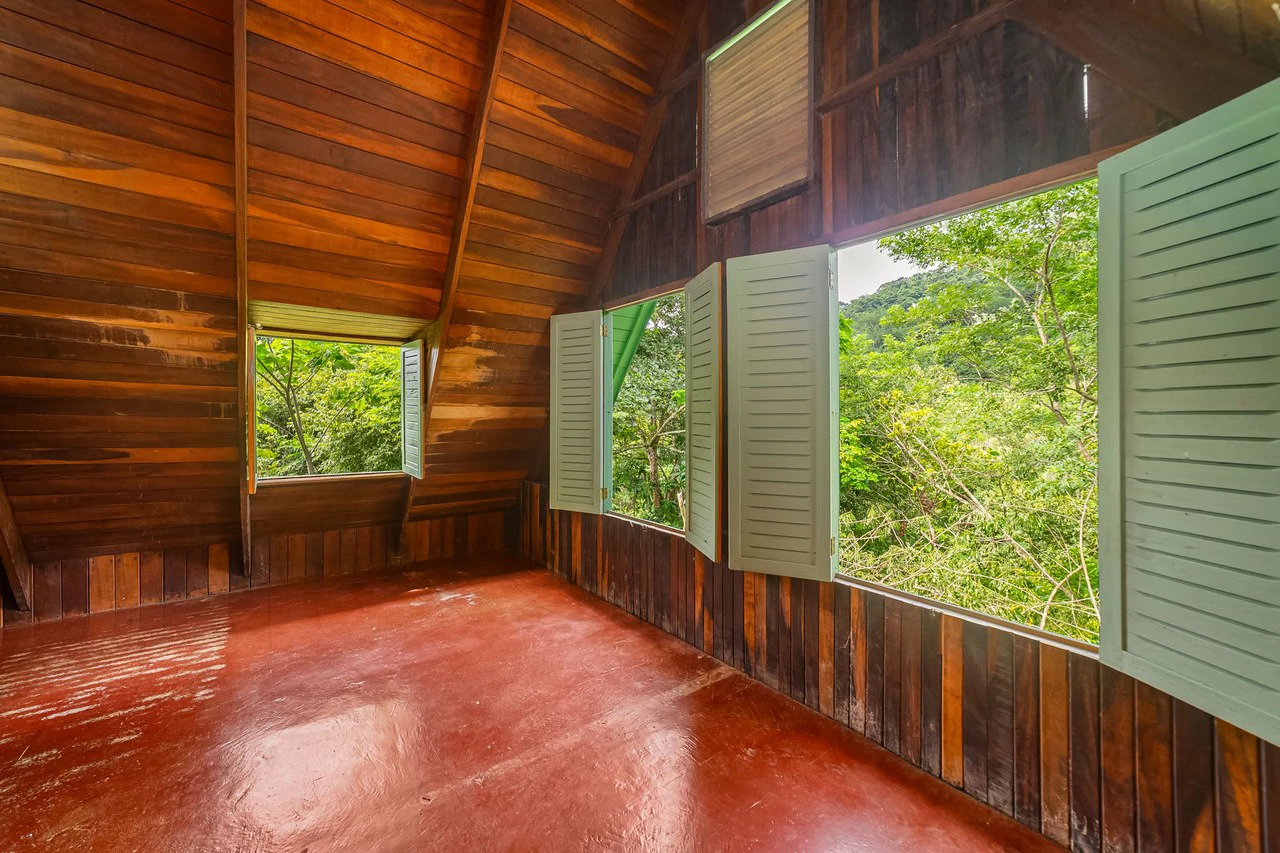 Casa Verde: Your Green Dream - Gallery image 22