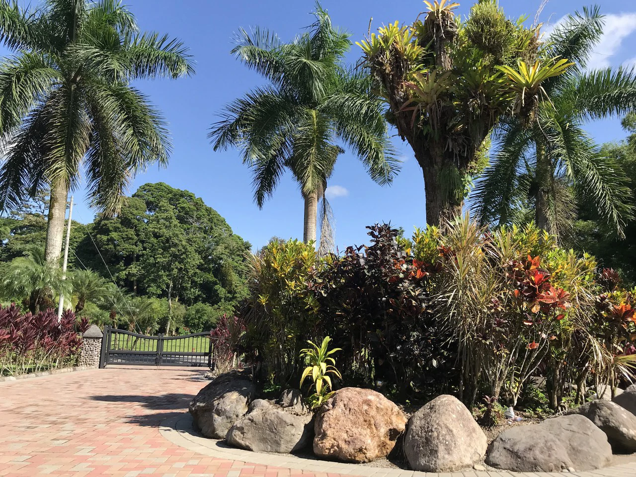 Beautiful Home for Sale with its own Natural Paradise - Gallery image 15