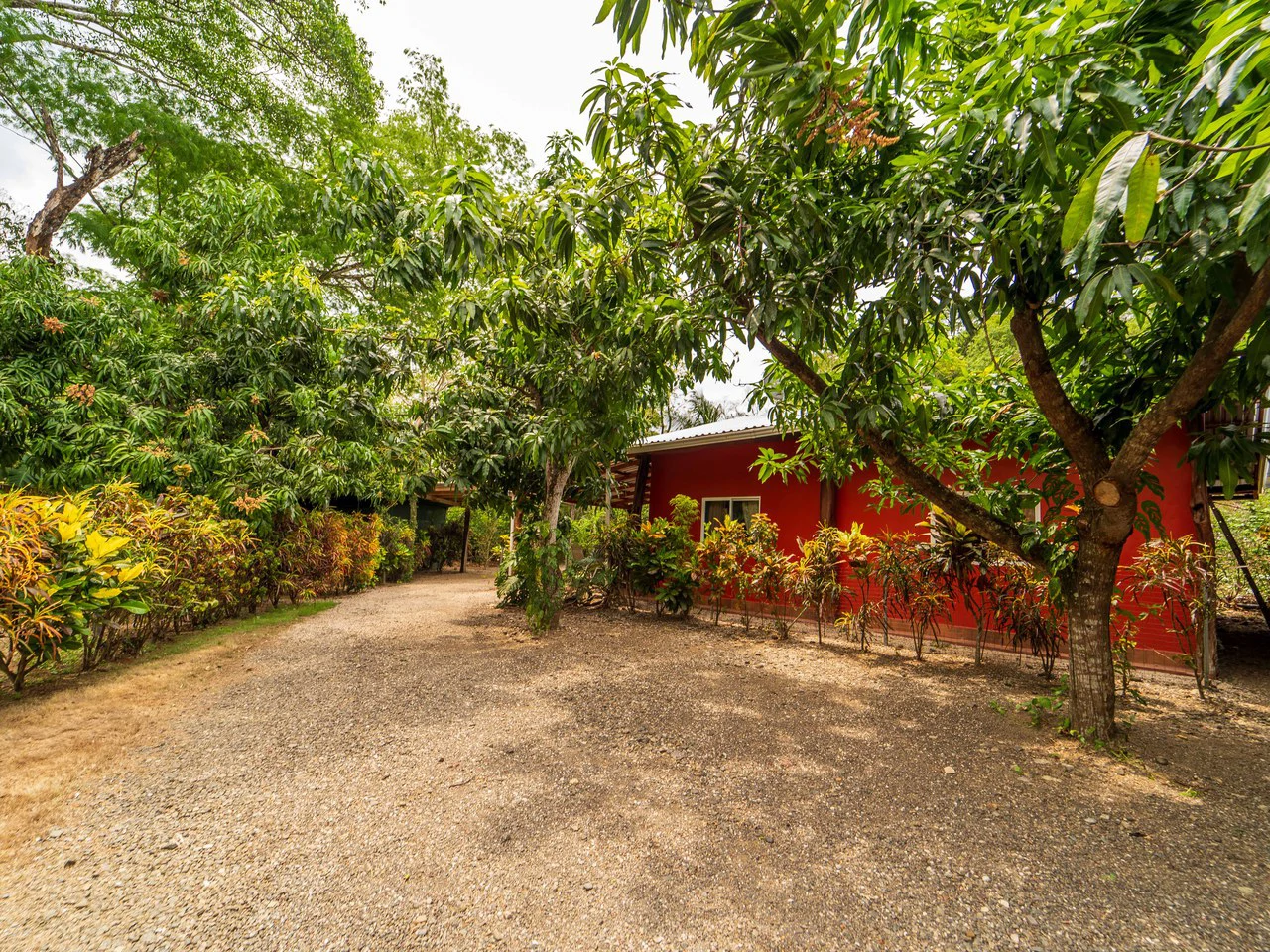 Organic Permaculture Farm and 2BR Single Family Home: Countryside House For Sale in Sámara - Gallery image 9