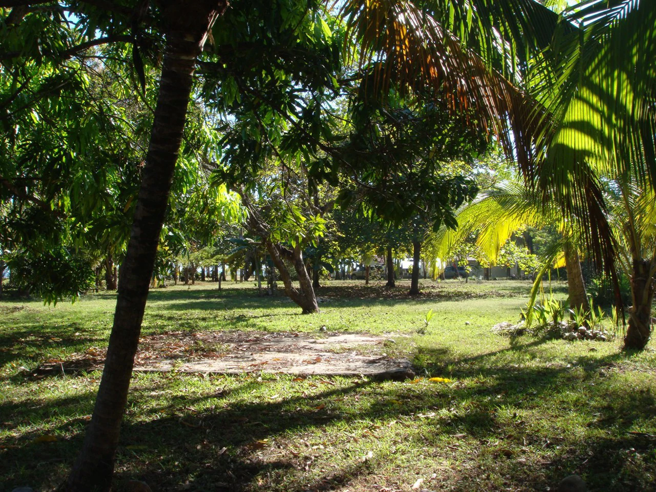Second-Row Lot for Sale Playa San Miguel, Nandayure, Guanacaste - Gallery image 9