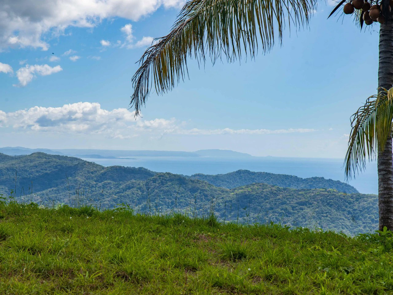 Lote Tres Palmas: Stunning Ocean View lot with 2 Platforms - Gallery image 14