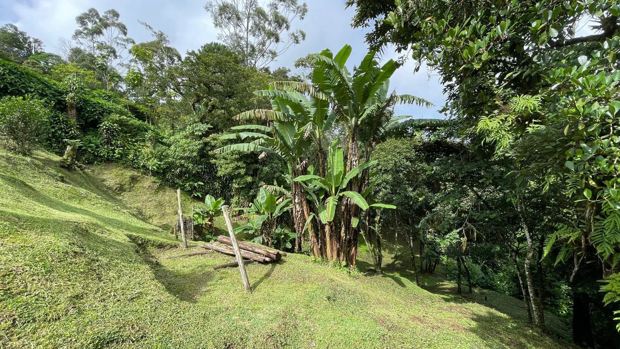 Property for Sale in Berlin de San Ramón, Costa Rica - Gallery image 20