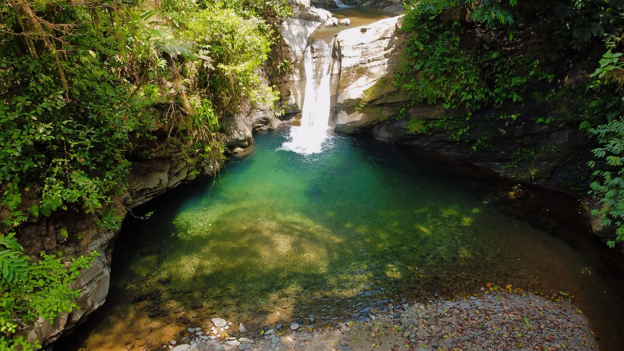 FINCA CERRO DEL TIGRE! OVER 20 ACRES OF PRIMARY FOREST AND WATERFALLS.: Mountain Agricultural Land For Sale in La Unión - Gallery image 6