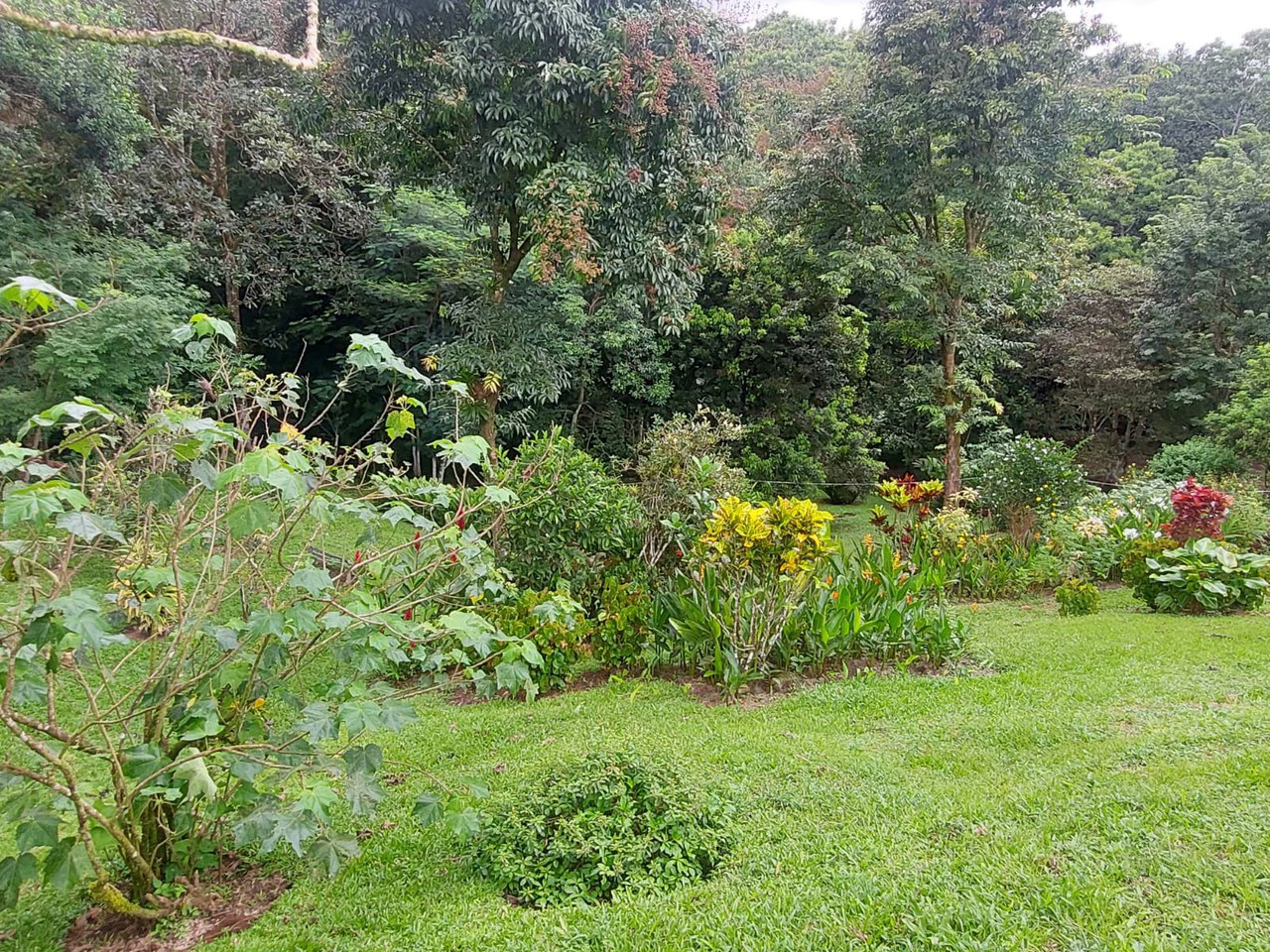VILLA  ESPERANZA - Gallery image 36