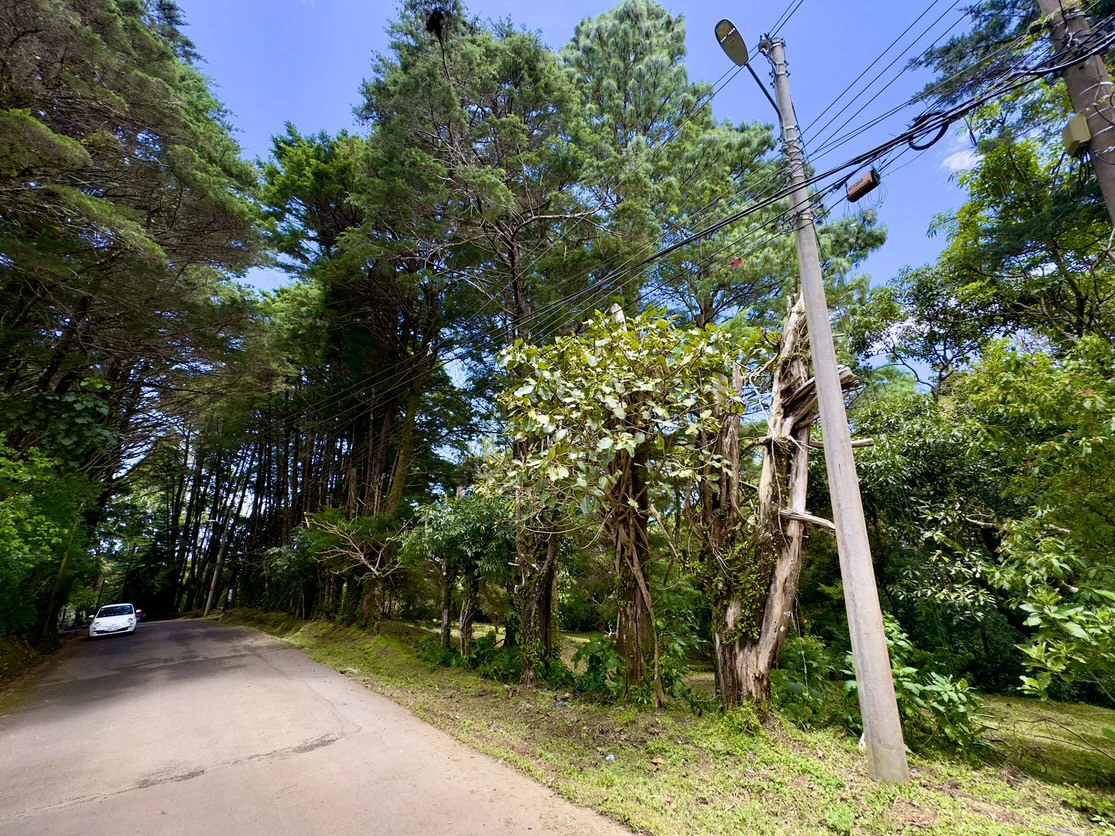 Live in harmony with nature in San Rafael de Heredia