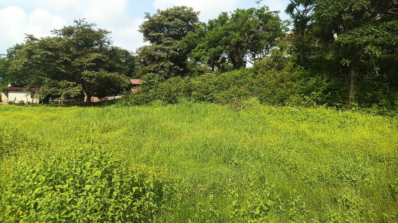 Airport Liberia property with very wide direct frontage on High - Traffic Route 21 to the Beaches - Gallery image 6
