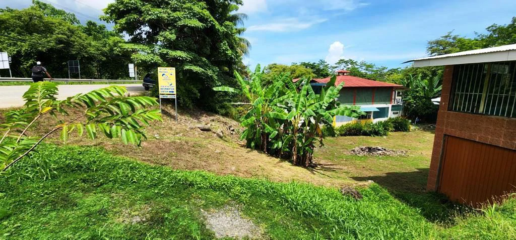 Highway Front Lot in Uvita with Commercial Potential - Gallery image 9