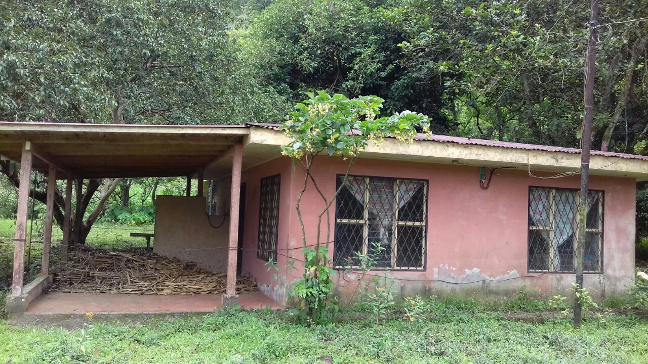 Big property with small house in Bijagua - Gallery image 6