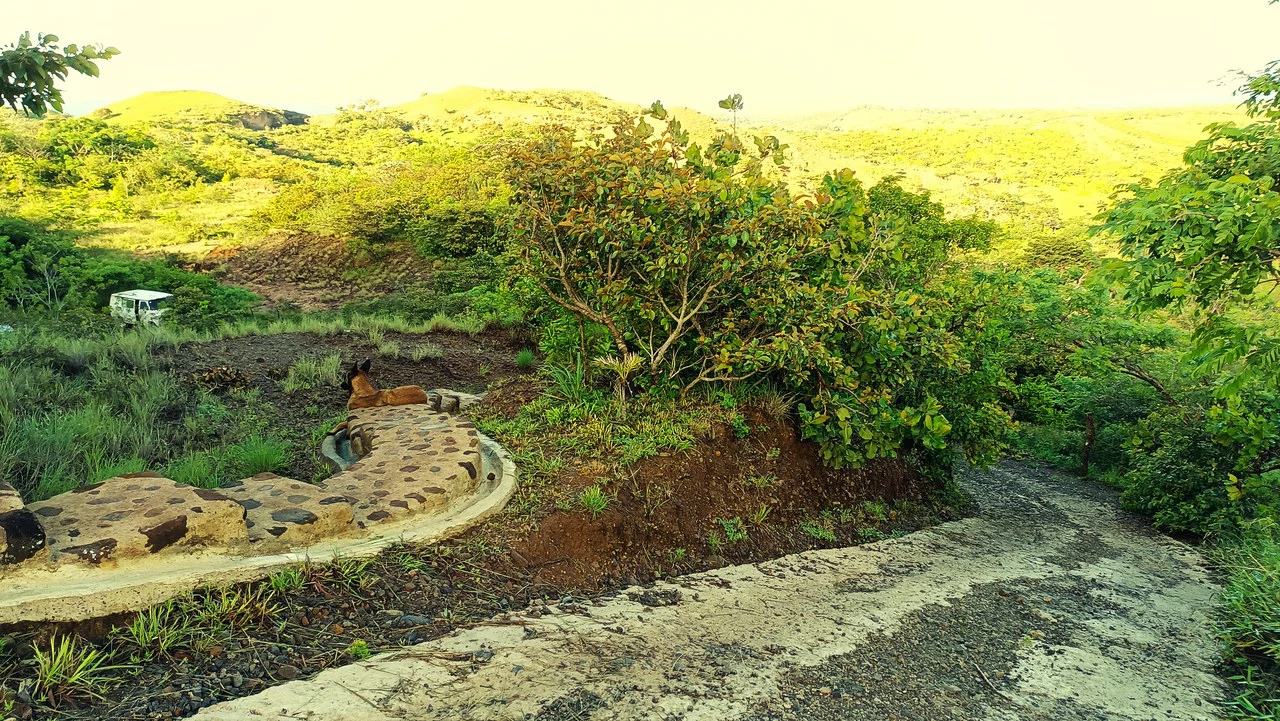 Hill top house with amazing sunset views GB0125: Peaceful Retreat with developing Potential: Property with 2 Homes and Panoramic Views in Guayabo de Bagaces - Gallery image 25