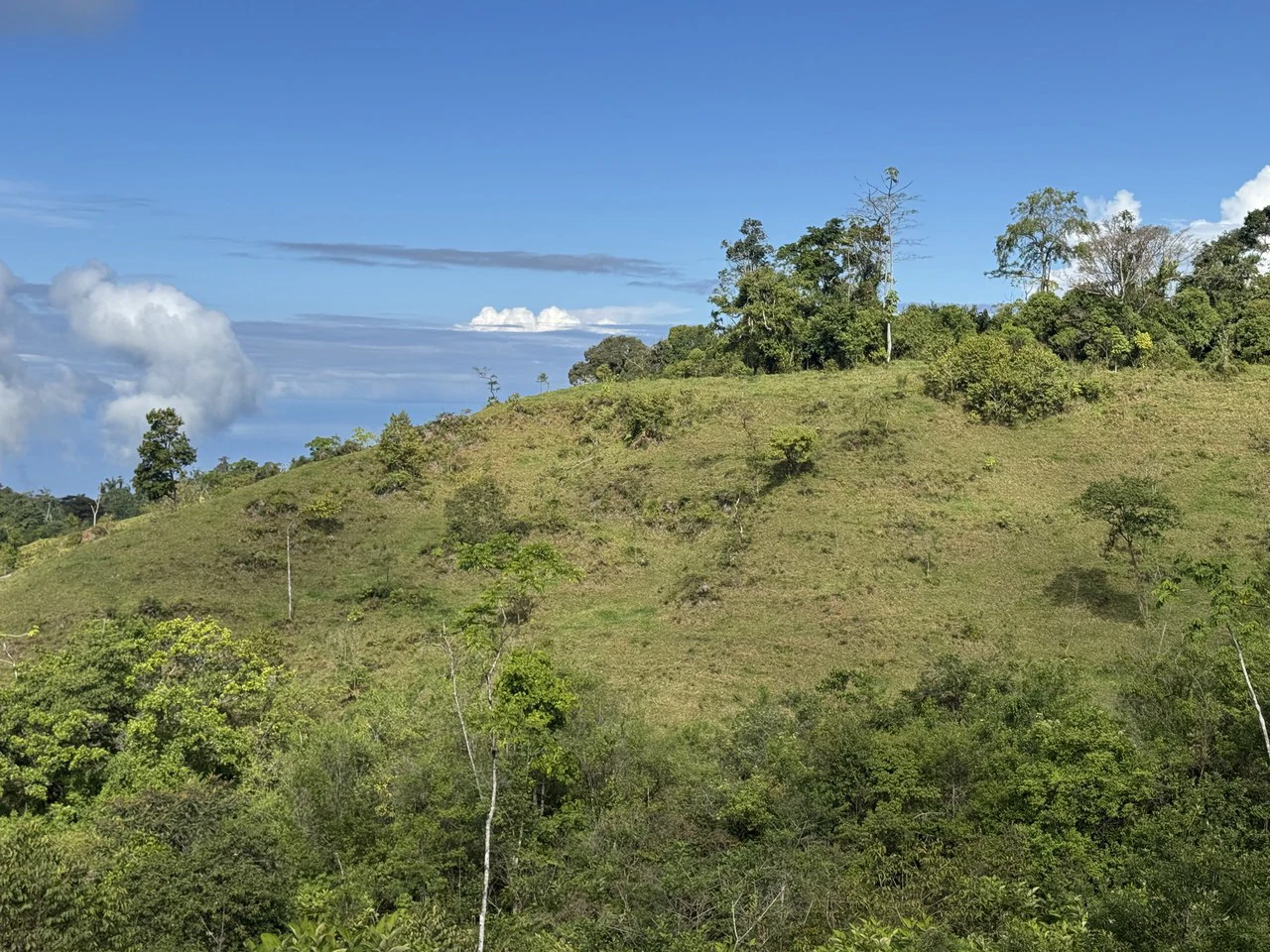 47 Acre Off Grid Ranch with Ocean & Mountain Views San Lorenzo Perez Zeledón - Gallery image 26