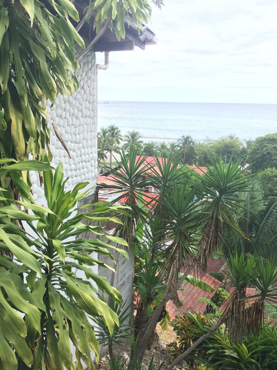 Beachfront Hotel for Sale in Playa Sámara - Gallery image 12