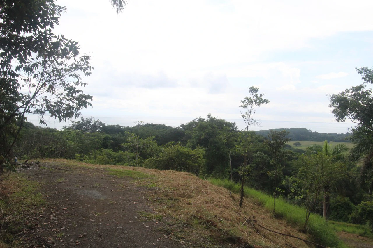 Whitewater Sunset Ocean View Lot Close to Dominical Beach - Gallery image 15
