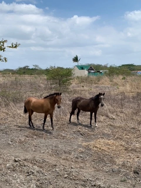 Lot for sale to develop Liberia Guanacaste Costa Rica - Gallery image 6