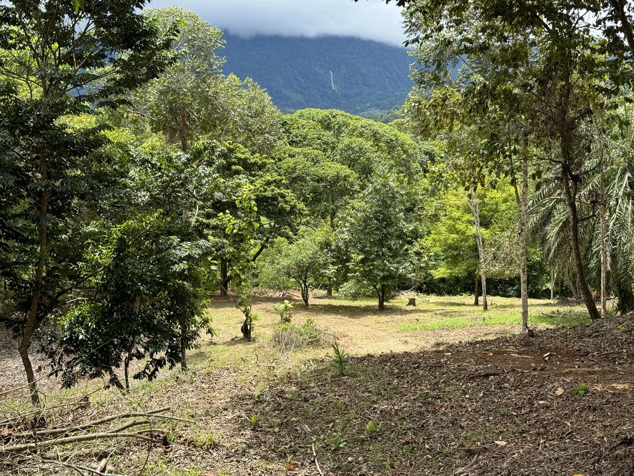 Diamante Waterfall View Land in Dominical 2.9 Acres - Gallery image 27