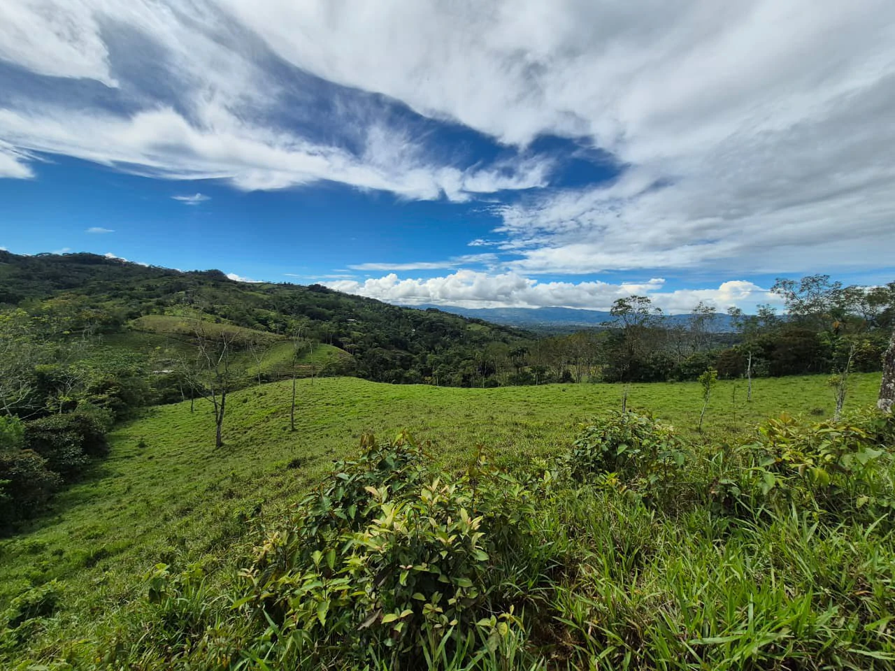 Countryside Home Construction Site For Sale in Daniel Flores - Gallery image 4