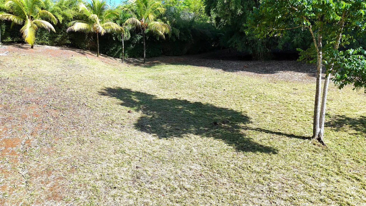 FINCA EN BARÚ GUSTAVO-149760: Mountain Agricultural Land For Sale in Barú - Gallery image 6