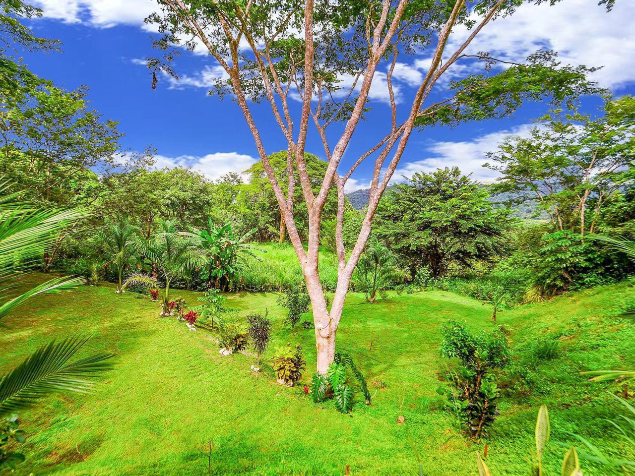 Lote Surfside - Jungle Lot mins to Surf and the River: Countryside Home Construction Site For Sale in Playa Samara - photo 13