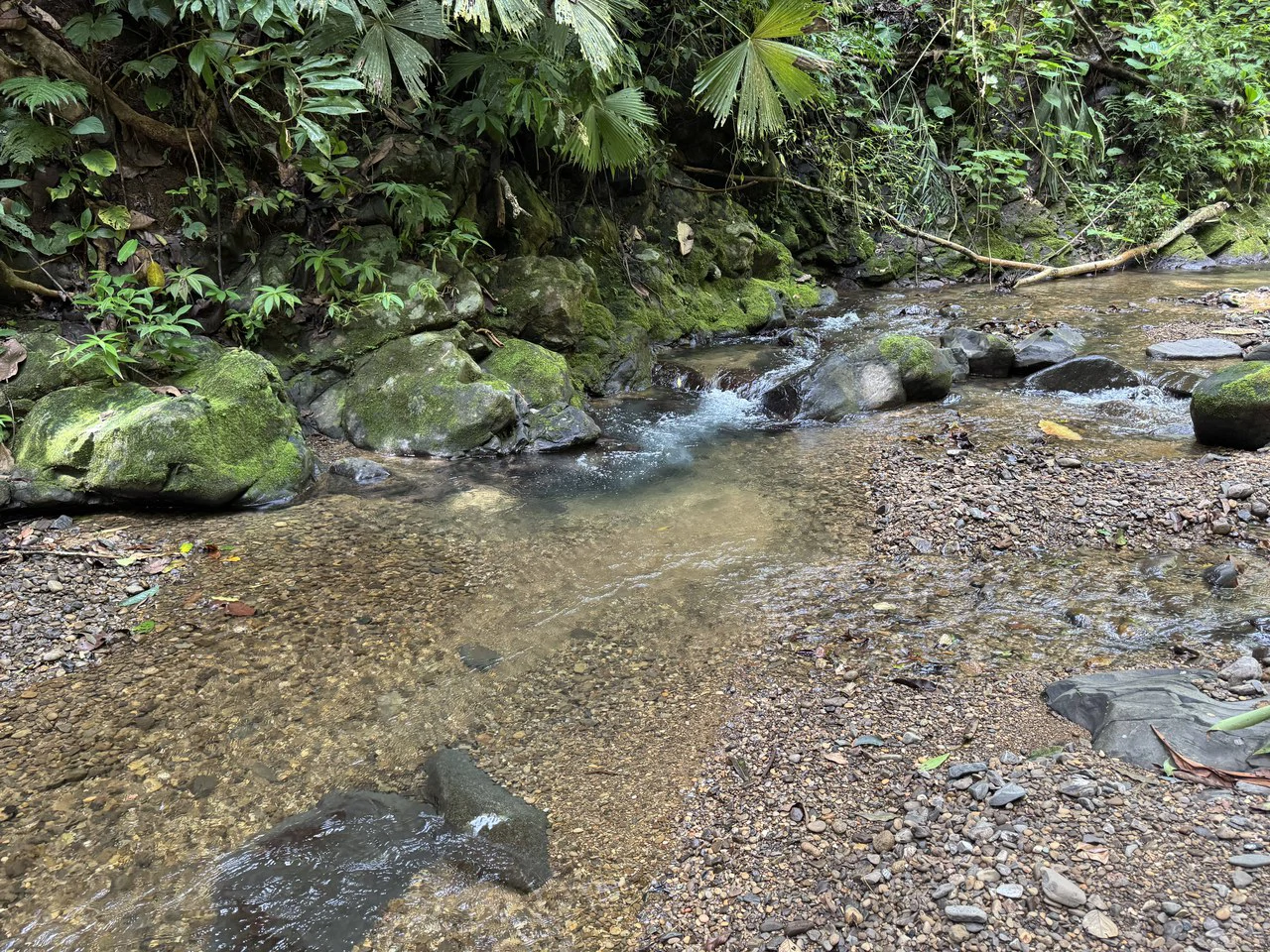 23.5 Acre Waterfall & Riverfront Estate Bahia Ballena Osa Peninsula - Gallery image 13