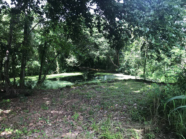 Large Development Land for Sale in Liberia, Guanacaste, Costa Rica - Gallery image 16