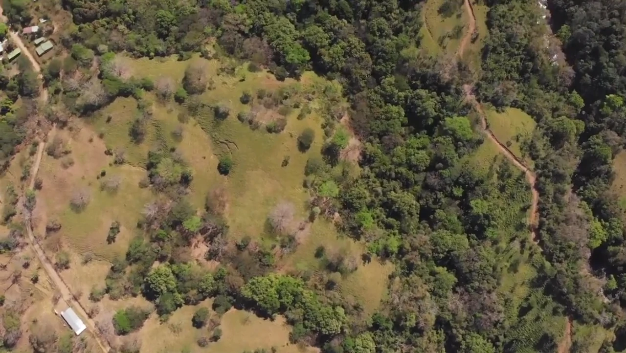 Tourism or Development?: Beautiful 56 ha with riverfront access - Gallery image 10
