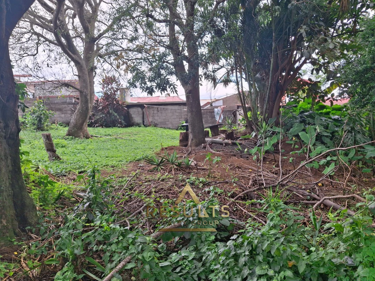 RARE City Comercial!: Commercial Opportunity close to the CENTRAL PARK! - photo 4