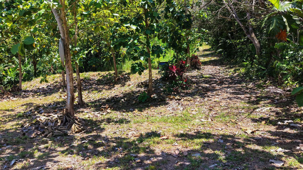 Near the Coast Home Construction Site For Sale in Ciudad Cortés - Gallery image 7