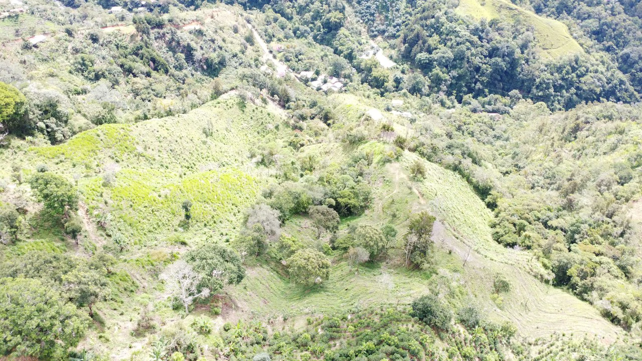LOTE EN HERRADURA RIVAS.: Mountain Agricultural Land For Sale in San Isidro del General - Gallery image 6