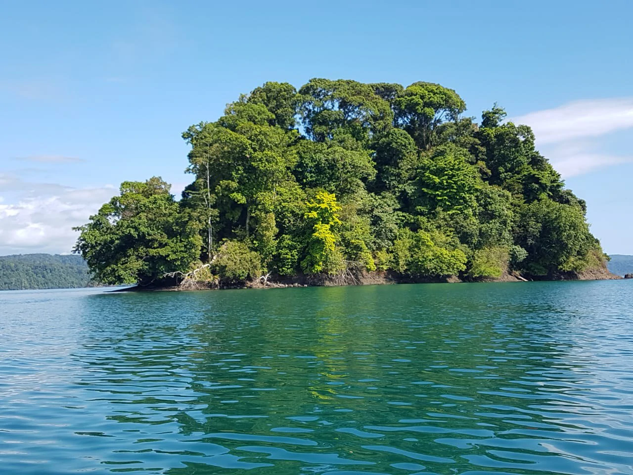 Nature Lover's Marina Resort Investment: Costa Rica South-Pacific Gulf Coast Marina, Rainforest Resort - Gallery image 3