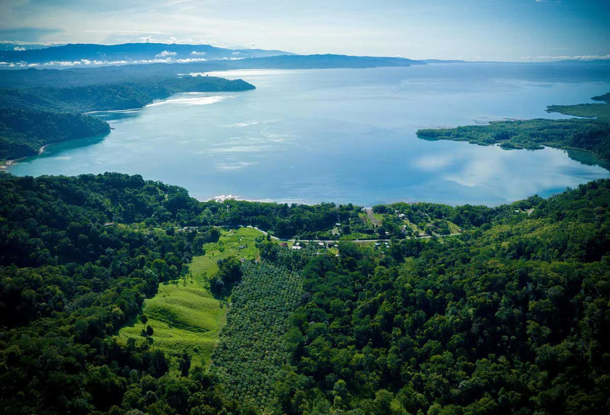 Rincon Massive Acreage and Gulf of Dulce Views - Gallery image 4