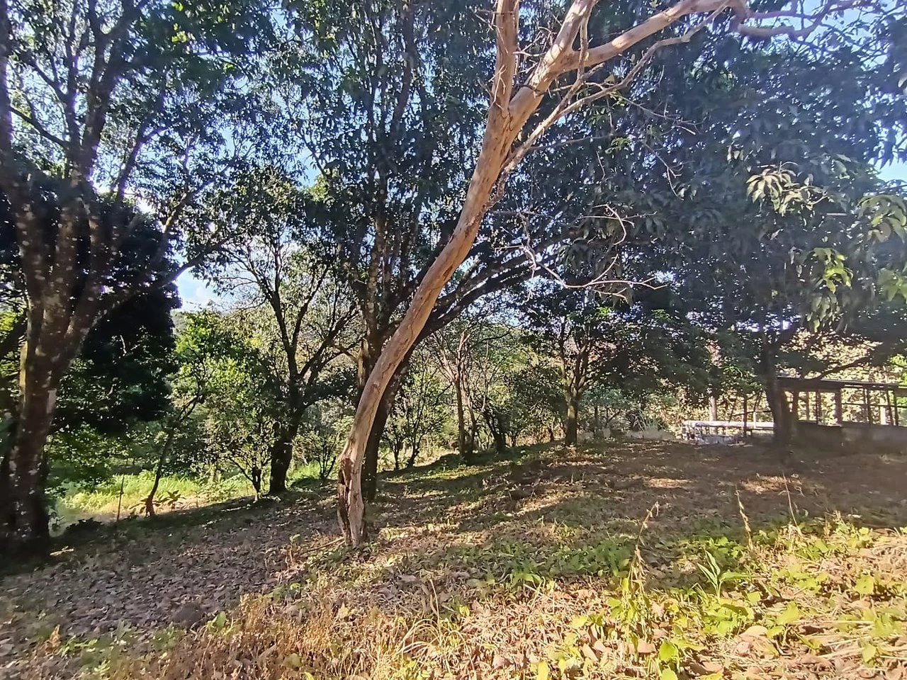 Property for sale in Ciudad Colon San José Costa Rica - Gallery image 8