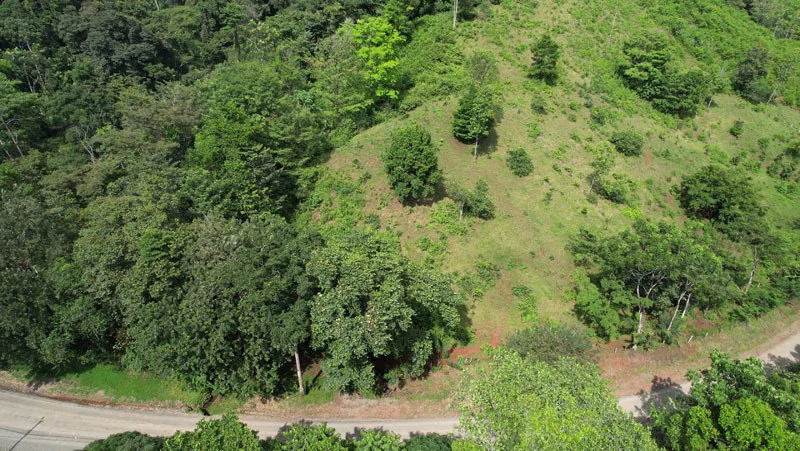 Ocean View & Primary forest 55-ha Rincon de Osa - Gallery image 8
