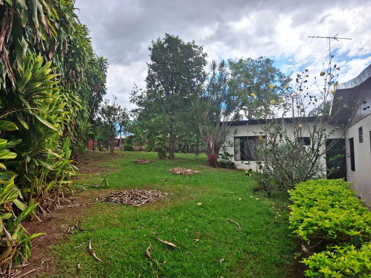 Casa Convenience: Grecia Garden Home on Large Lot + Rental Apartment! - Gallery image 18