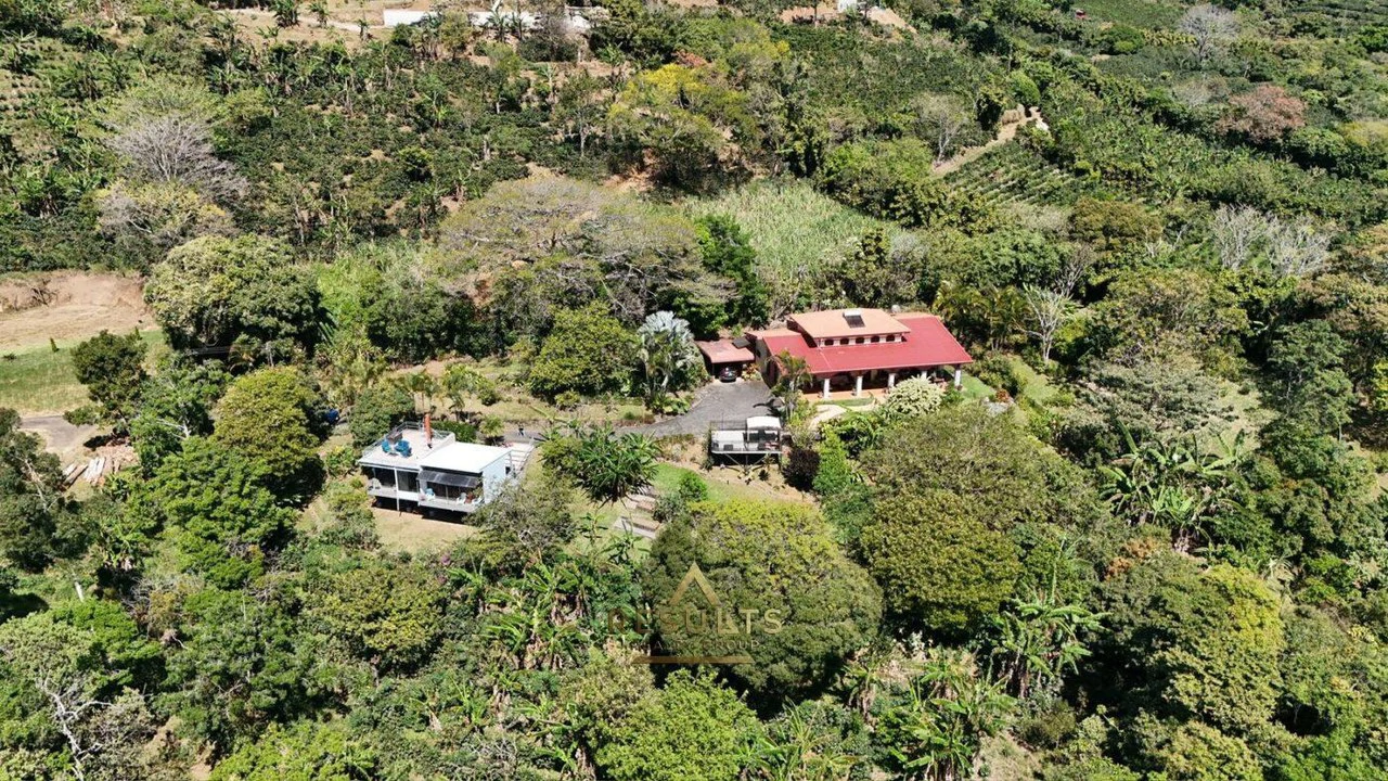 Private Paradise: Luxury home and Guest home on large private lot! - Gallery image 2