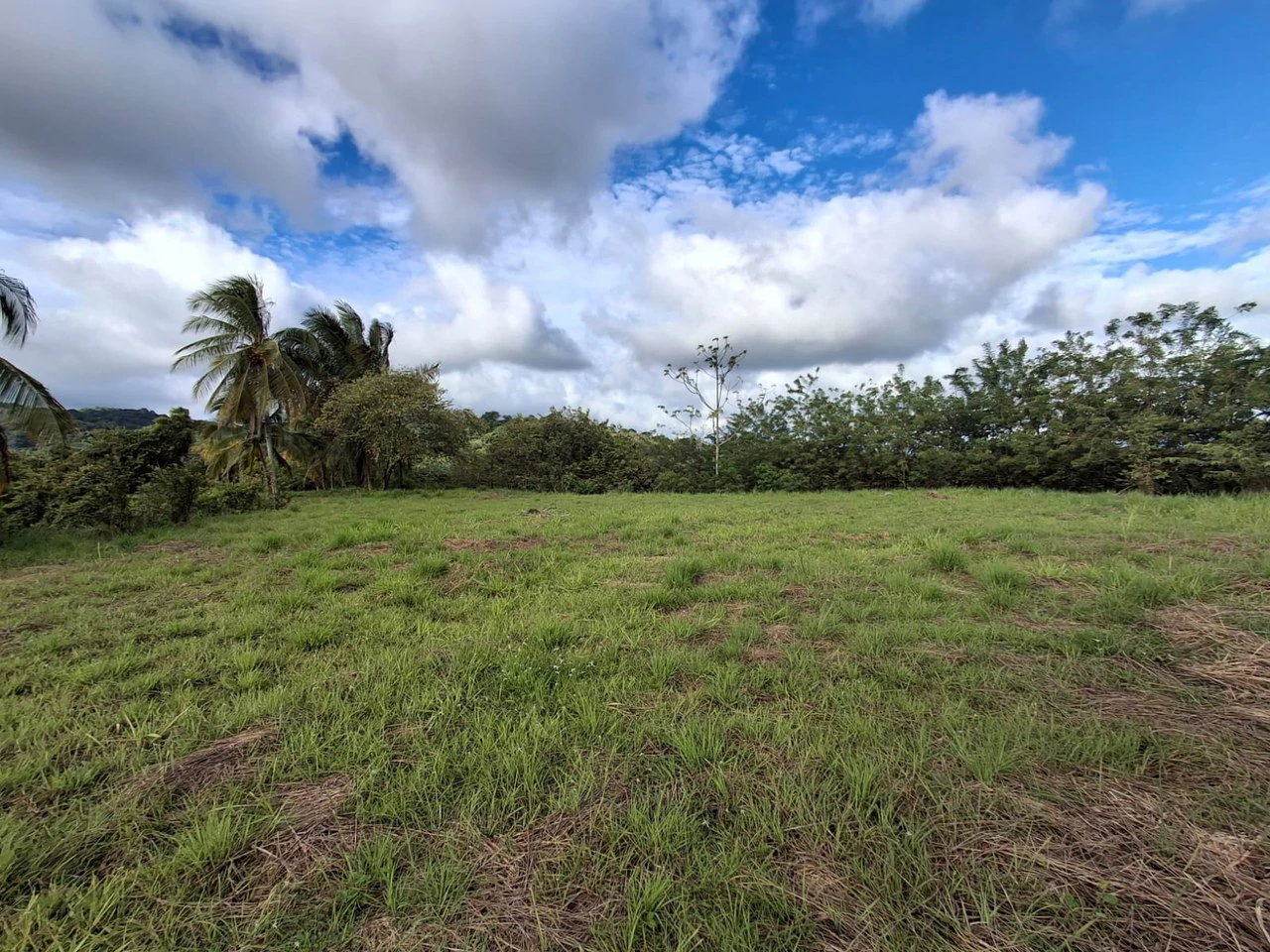 Hilltop Ocean Paradise: 10 ha (103,600m2) for private compound or development - Gallery image 7