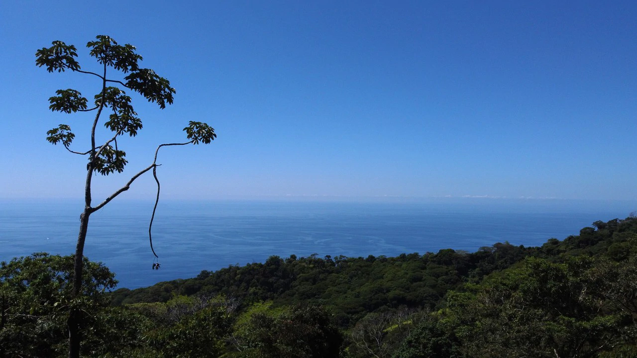 Exclusive 5.80 acres Ocean View Estate Lot in Costa Verde Estates – Escaleras - Gallery image 13