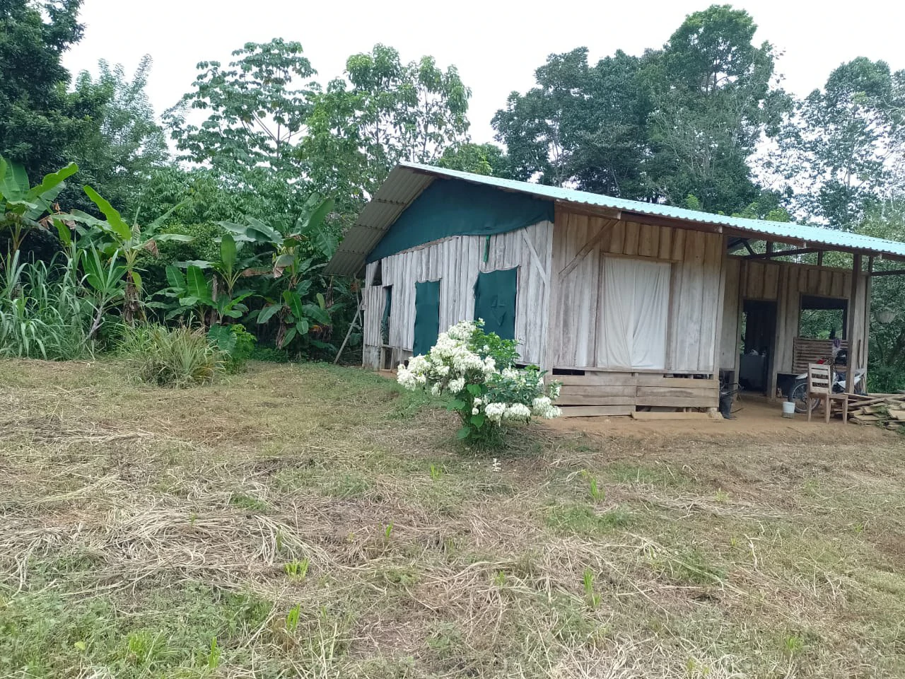 Costarican Casita in Peaceful Town