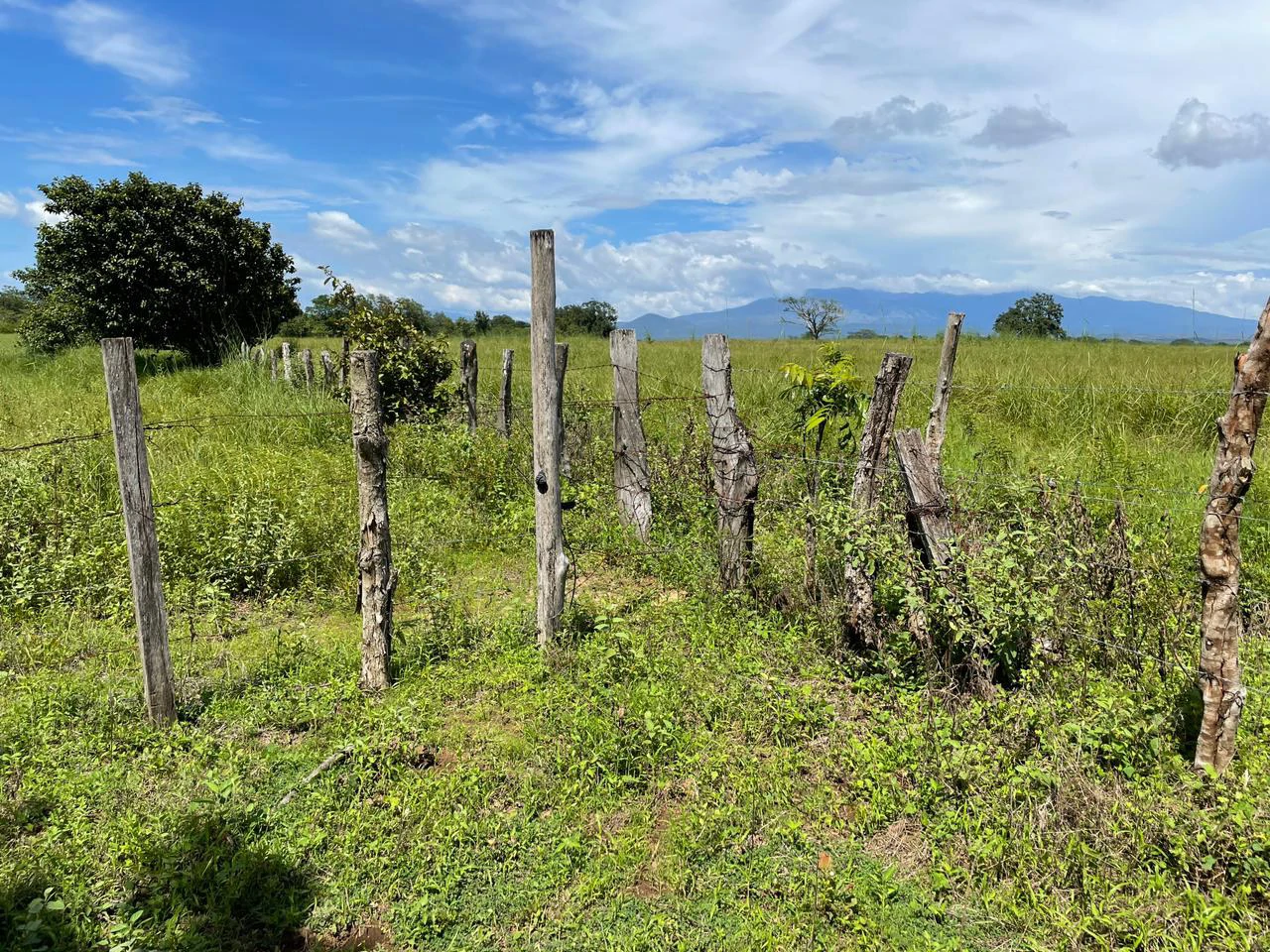 Airport Liberia Top commercial location huge property for sale - Gallery image 19