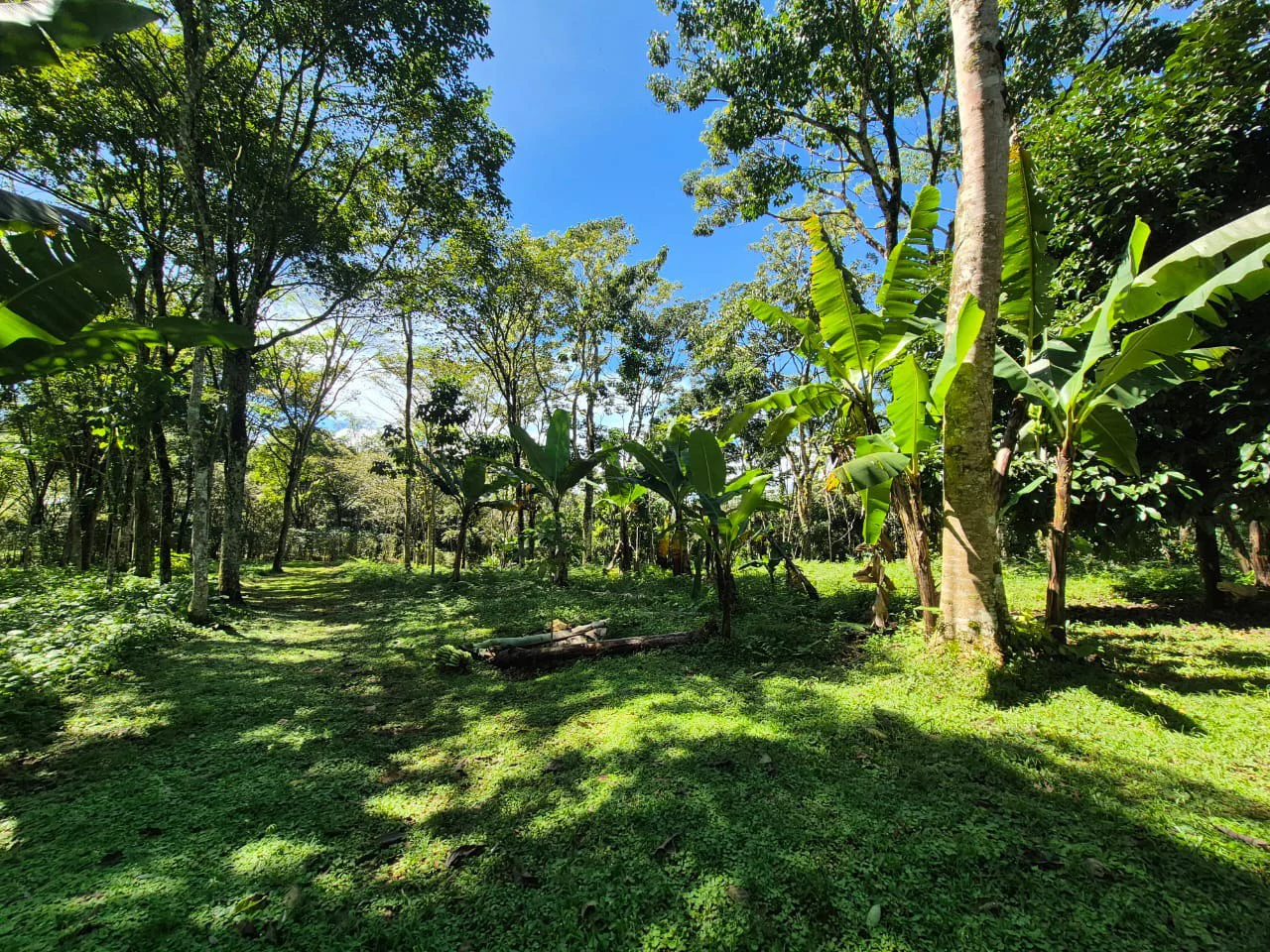 Mountain Home Construction Site For Sale in Centro de Pérez Zeledón - Gallery image 21