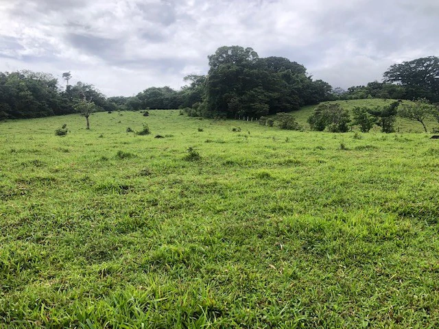 Warm Spring Mountain Property in a tropical landscape and antique wooden house,  50 minutes from Liberia city - Gallery image 4