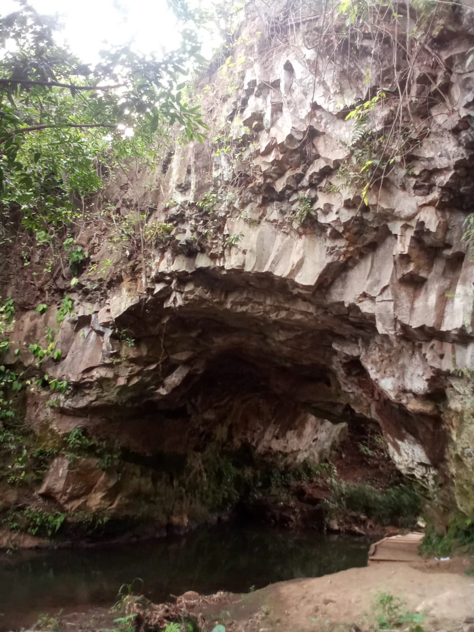 THE JEWEL OF GRECIA: $20m2 - 10 Hectares of Unlimited Potential! - Gallery image 6