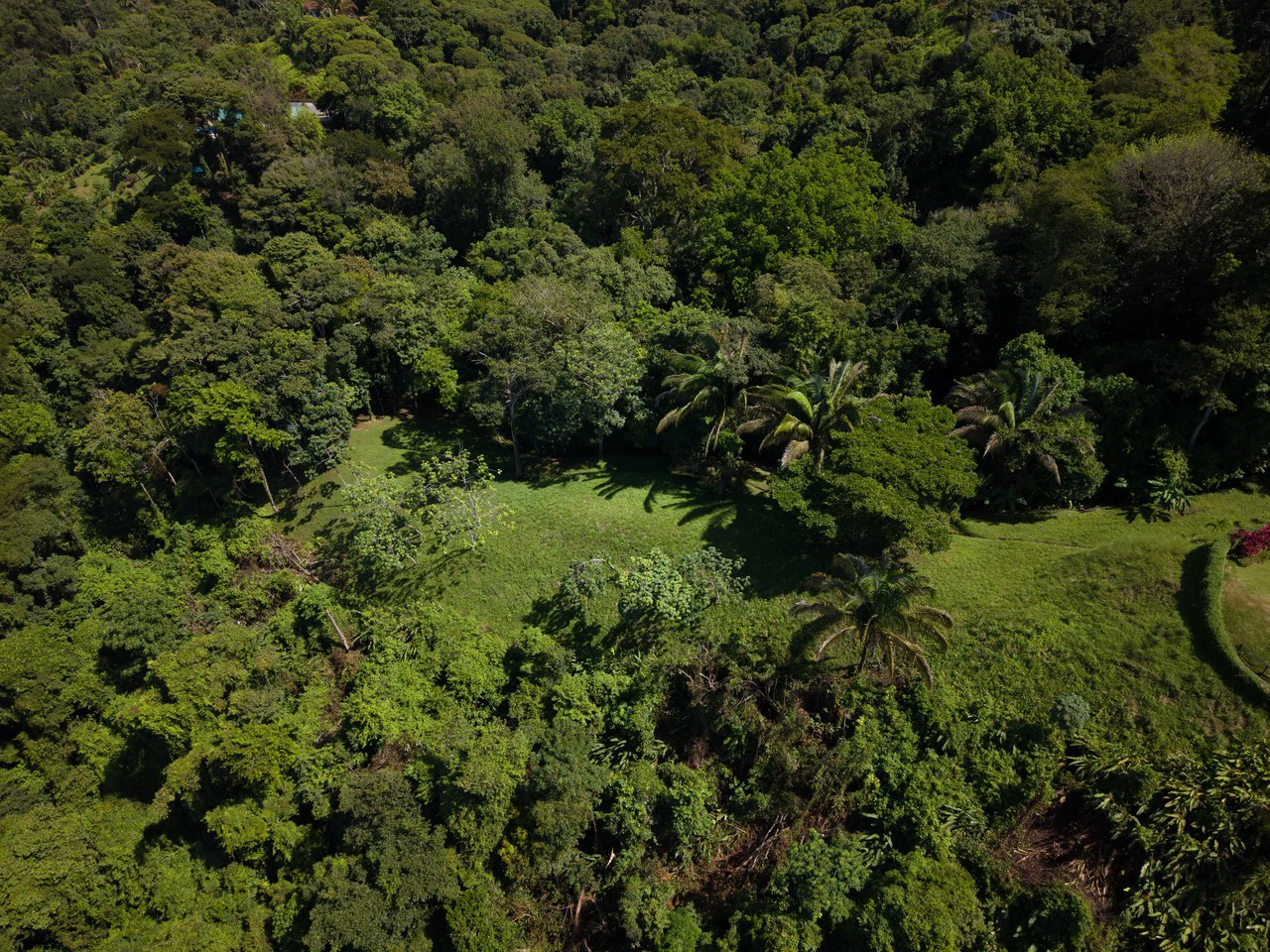 Front Row Ocean View Property with a Private Waterfall in Dominical - Gallery image 18