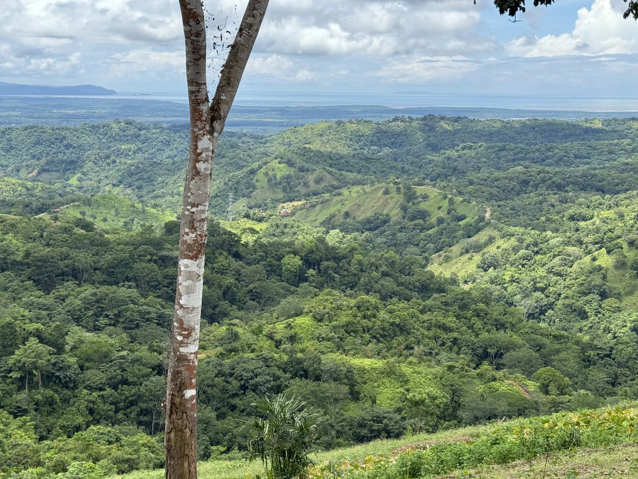 137 Acre Ocean View Farm with Riverfront in Southern Costa Rica - Gallery image 26