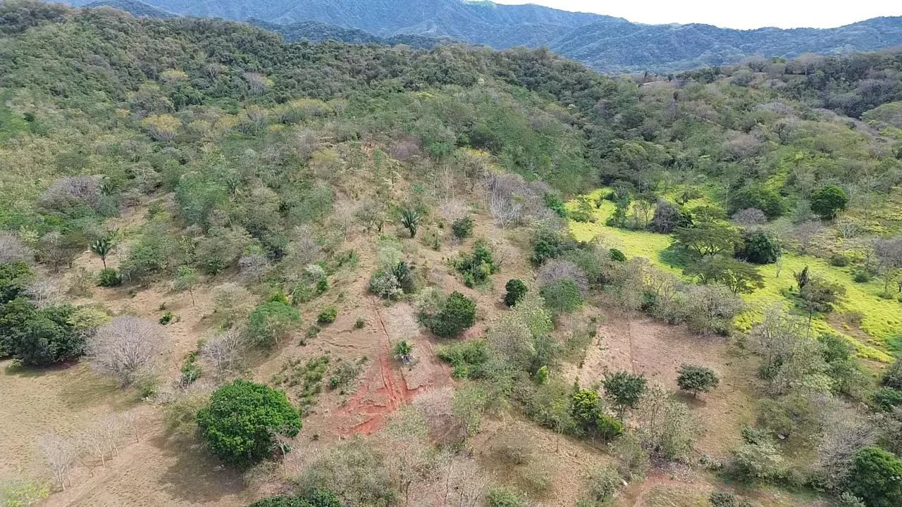 Land in Pilas de Bejuco: 19 Hectares in Pilas de Bejuco - photo 4