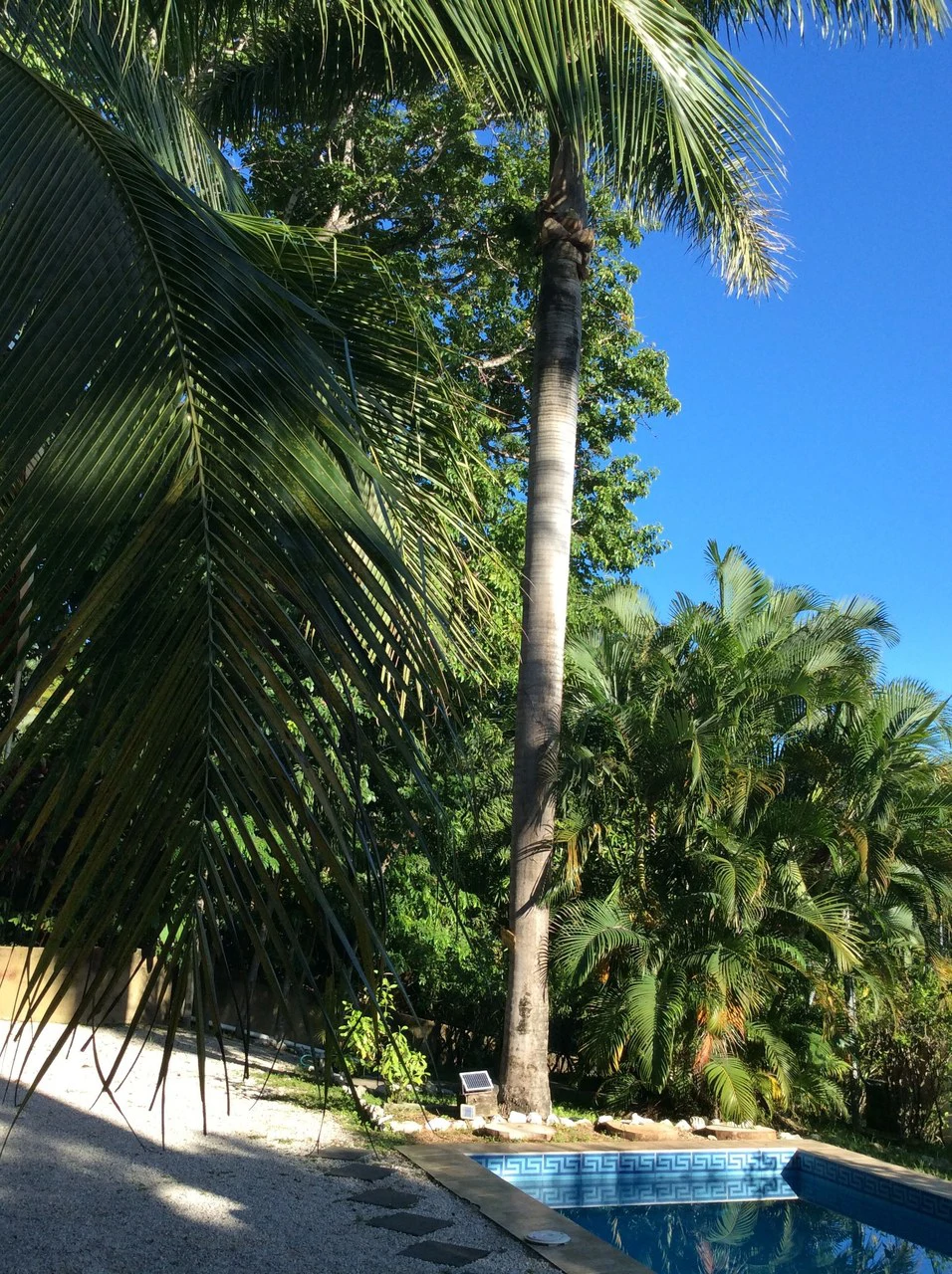 Casa Surfside: Huge Price Drop - Seller Facing Health Issues - Must Sell Quickly - 3 Rental Units with Main 2/2 Home and Pool - Walk or Bike to Beach and Town. - Gallery image 5