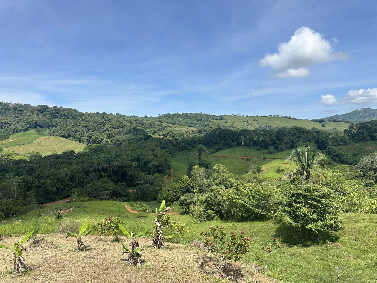 8.78 Acres Mountain View Estate with Water, Infrastructure & Endless Development Potential | Platanillo de Barú, Costa Rica - photo 16