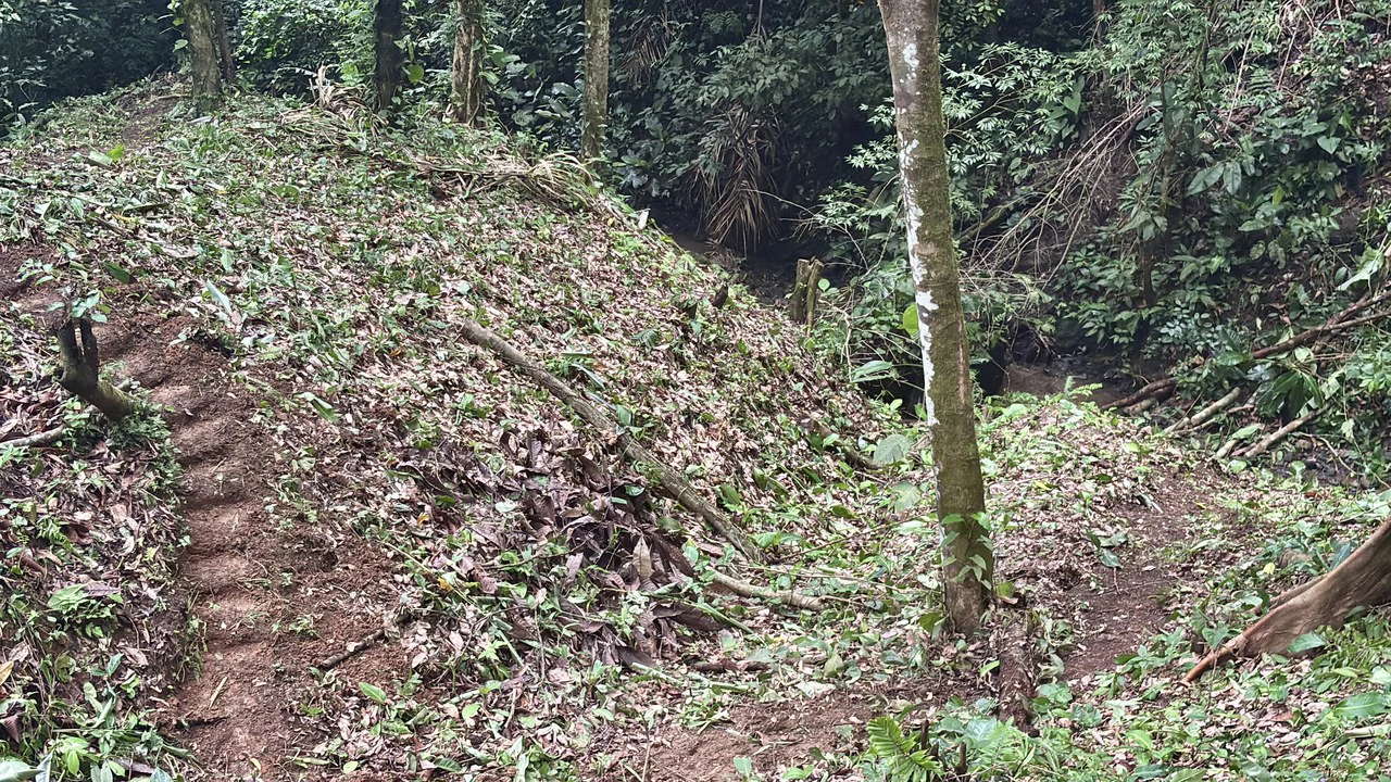 Unique property with creek and waterfall in lush jungle: Mountain Home Construction Site For Sale in Damas - photo 23