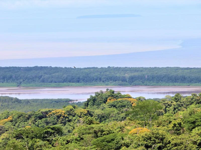 Captivating 3.15-Acre Property: Huge Pricedrop! Firesale Oceanview Lot in Tres Rios - Gallery image 54