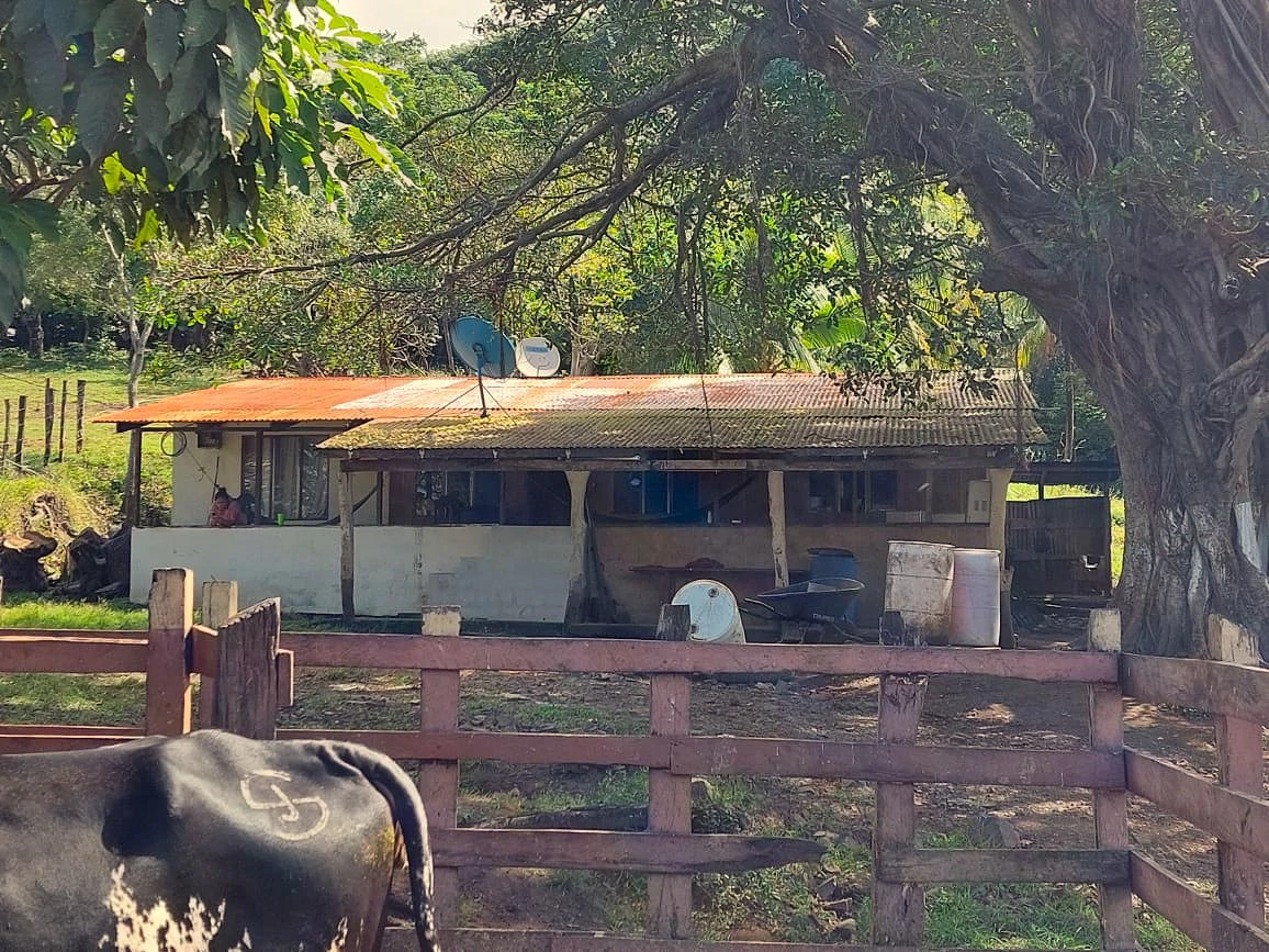 HACIENDA LOMBARDIA : Fully Operating Livestock Business - Gallery image 10
