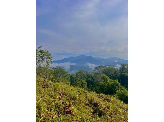 SPECTACULAR ECOLOGICAL MOUNTAIN FARM IN BIJAGUAL DE TURRUBARES - Gallery image 18